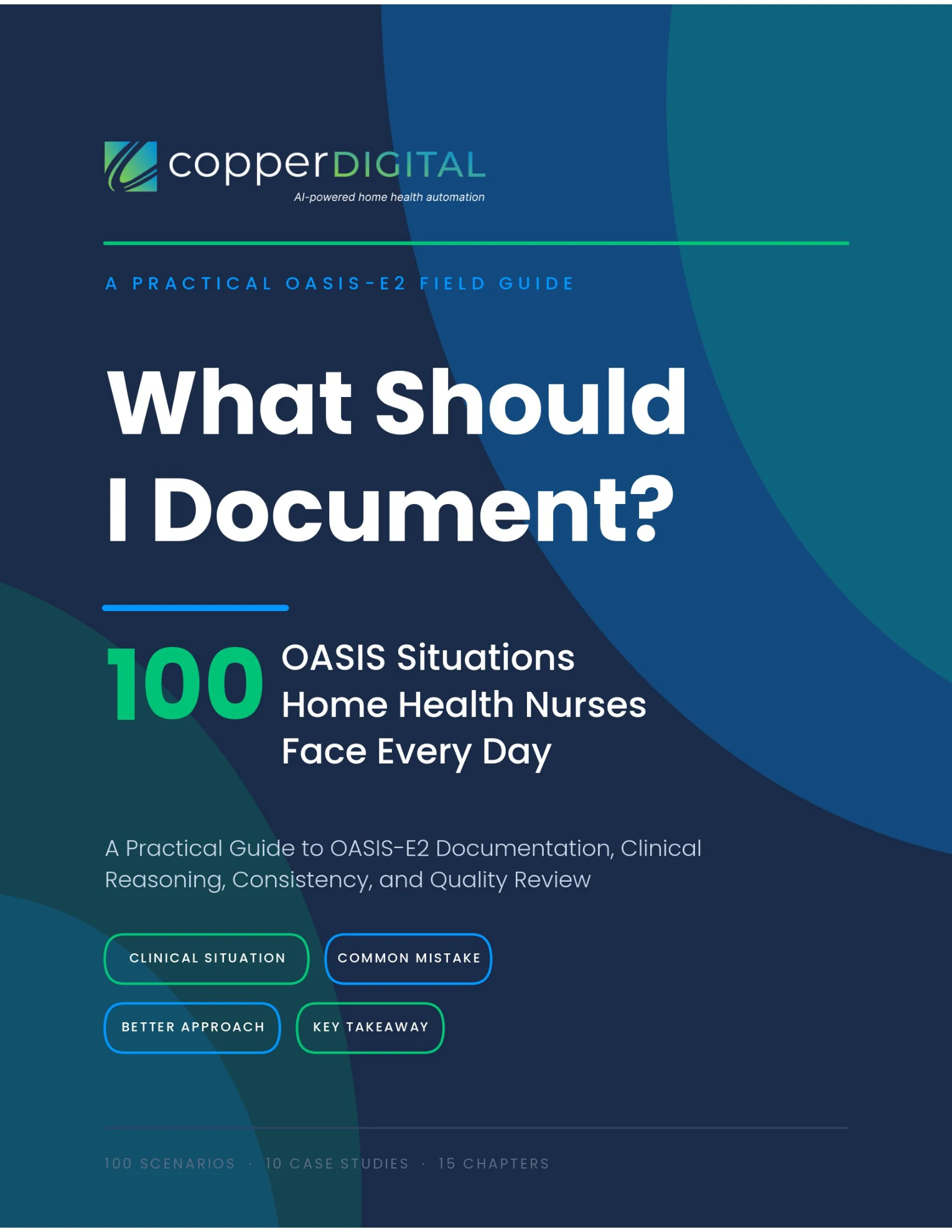 What Should I Document? 100 OASIS Situations Home Health Nurses Face Every Day — cover