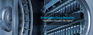 Enterprise Data security